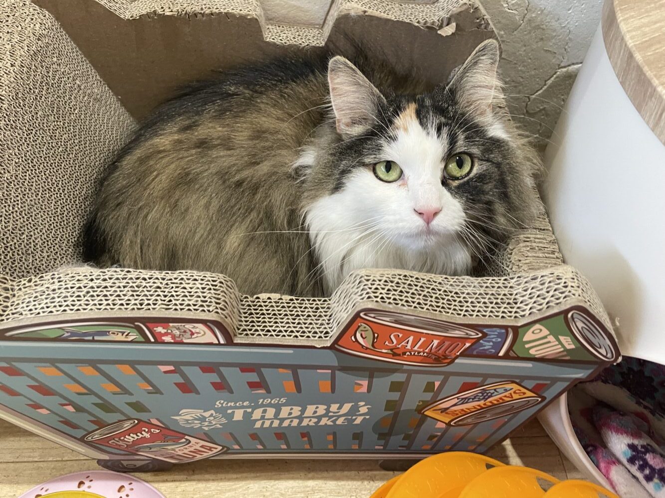 ぽかぽか月曜日☺️嬉しいお知らせも