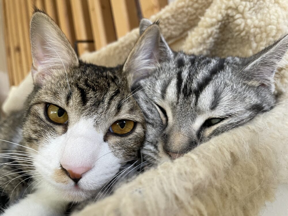 はしゃぐ金曜日😁