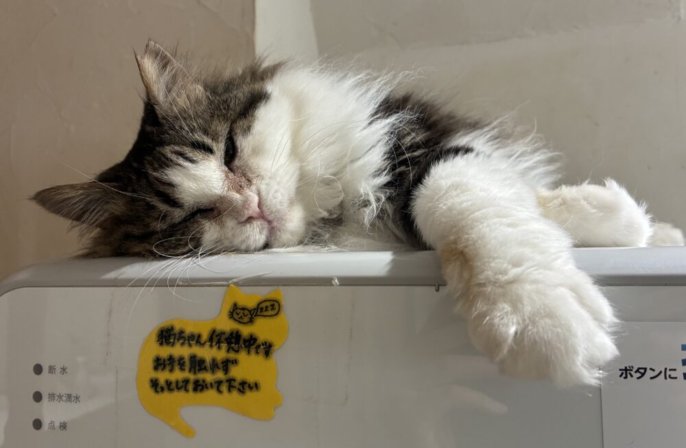 ごろごろ土曜日😁