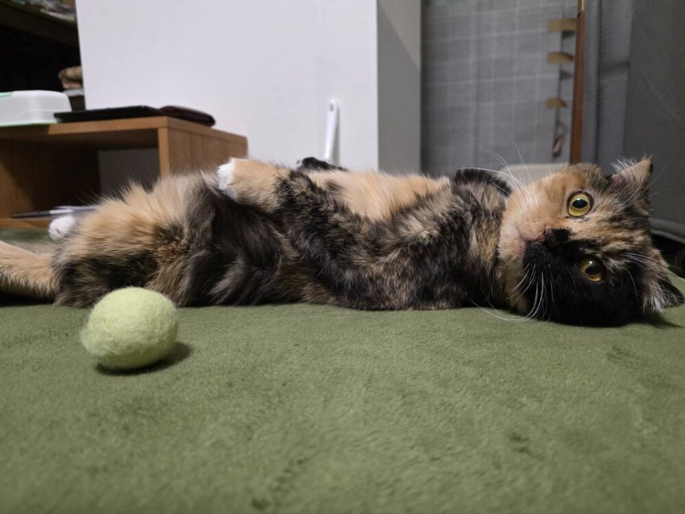 雨だね☔️火曜日✨嬉しいお知らせも