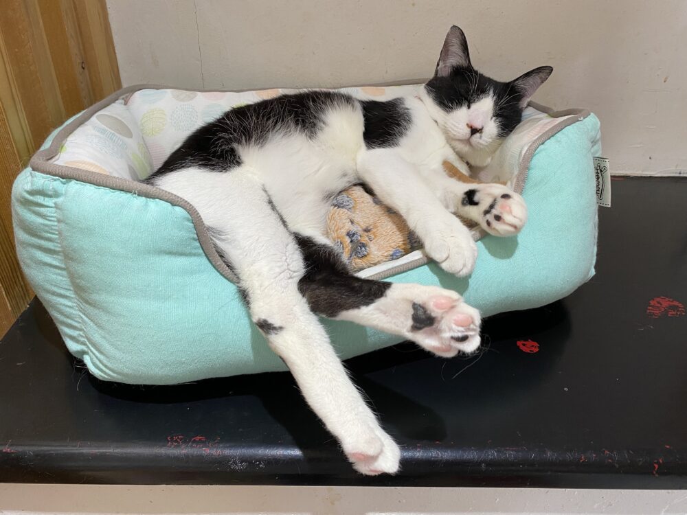 ドタバタ💨火曜日