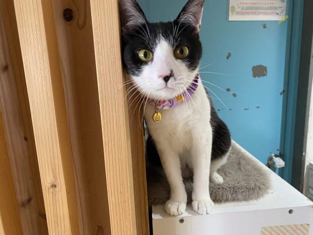 にぎやか🌼日曜日