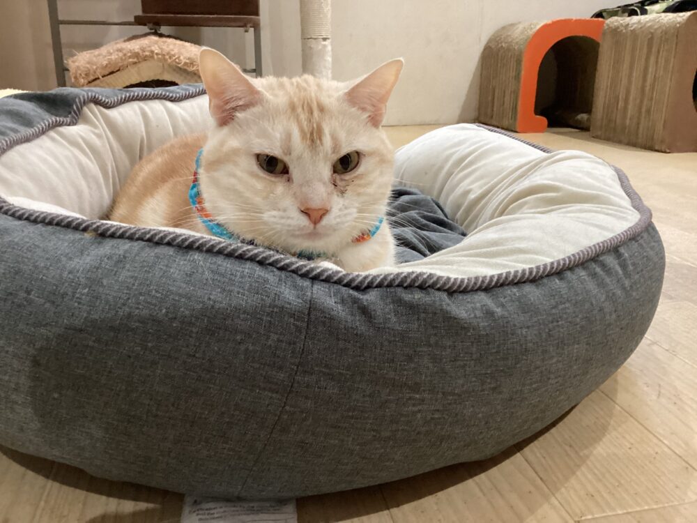 本日は定休日です🤗