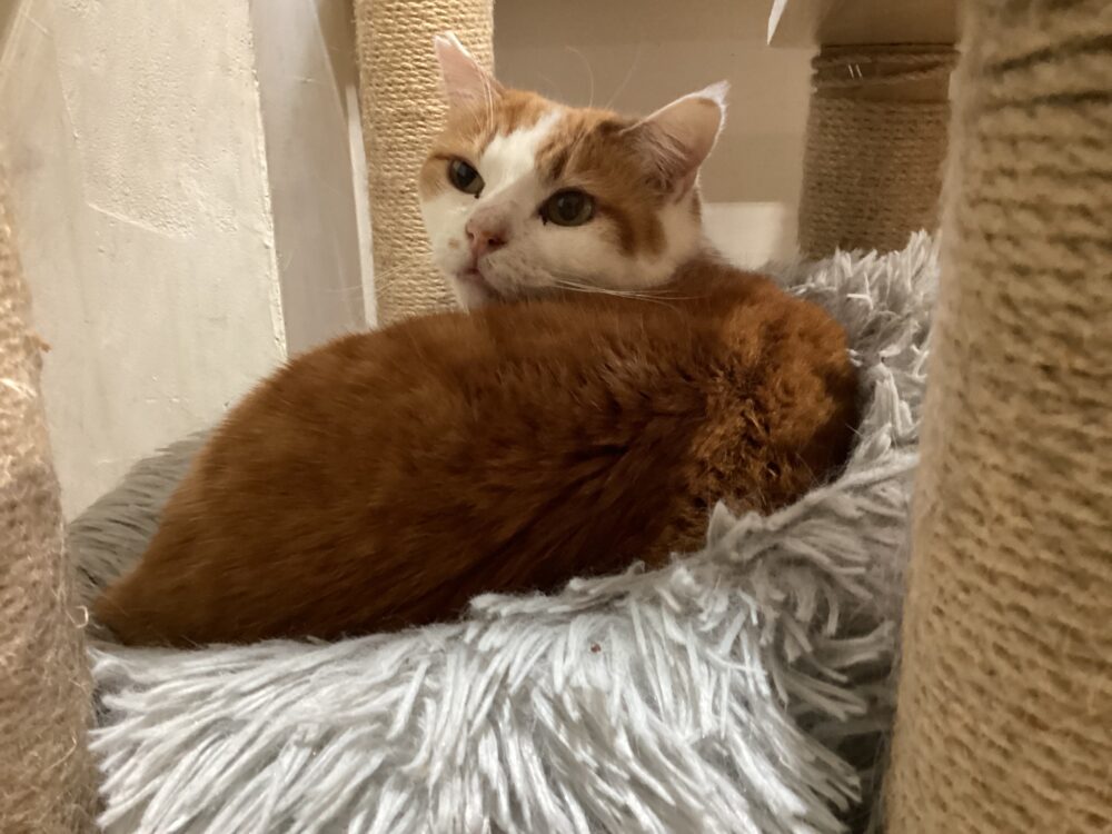 本日は定休日です☔️