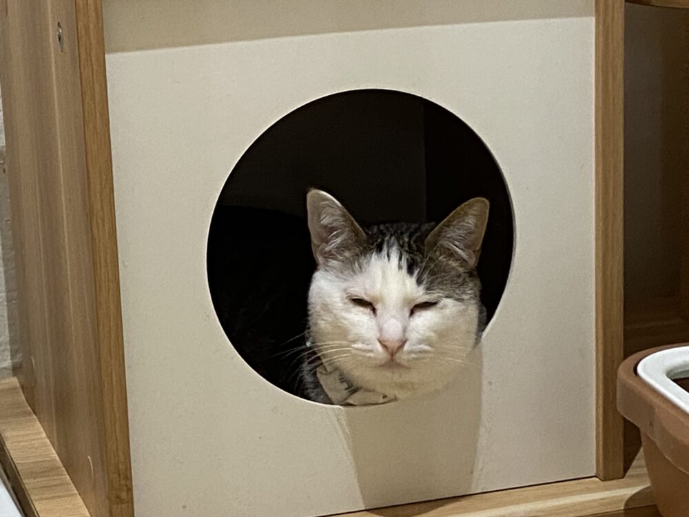 ぽかぽか☀️日曜日