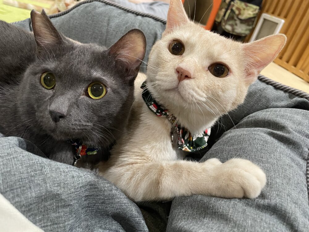 ありがとう💕暖君