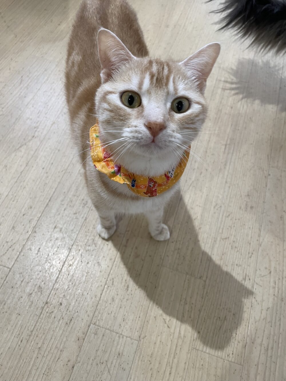 くう君卒業スペシャル😆