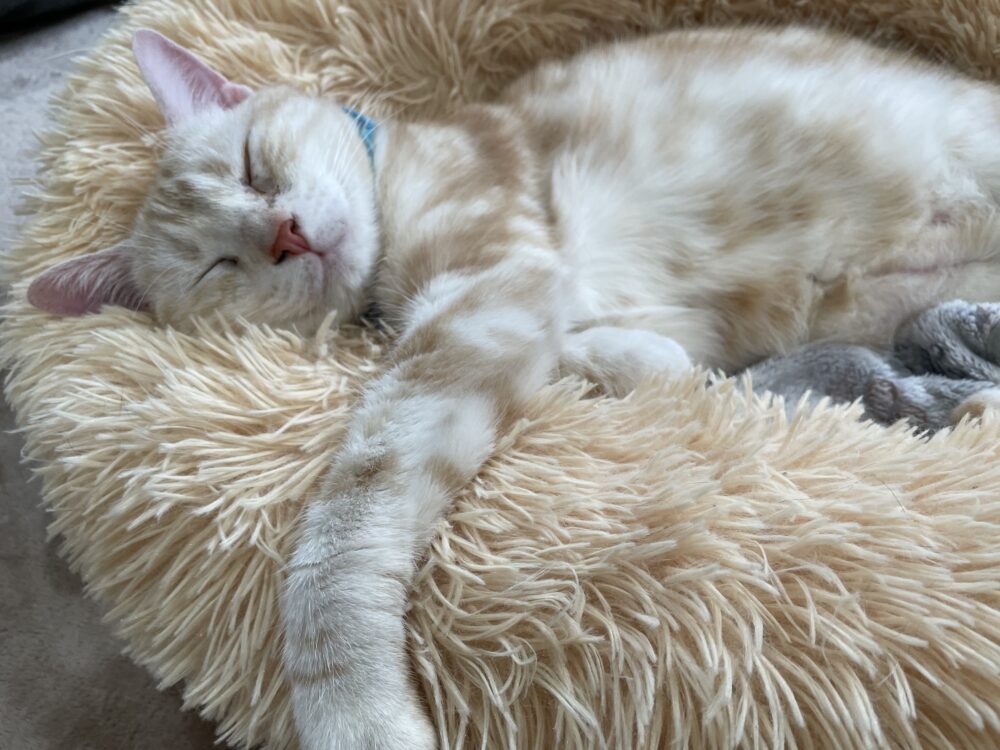 自由な月曜日🗽