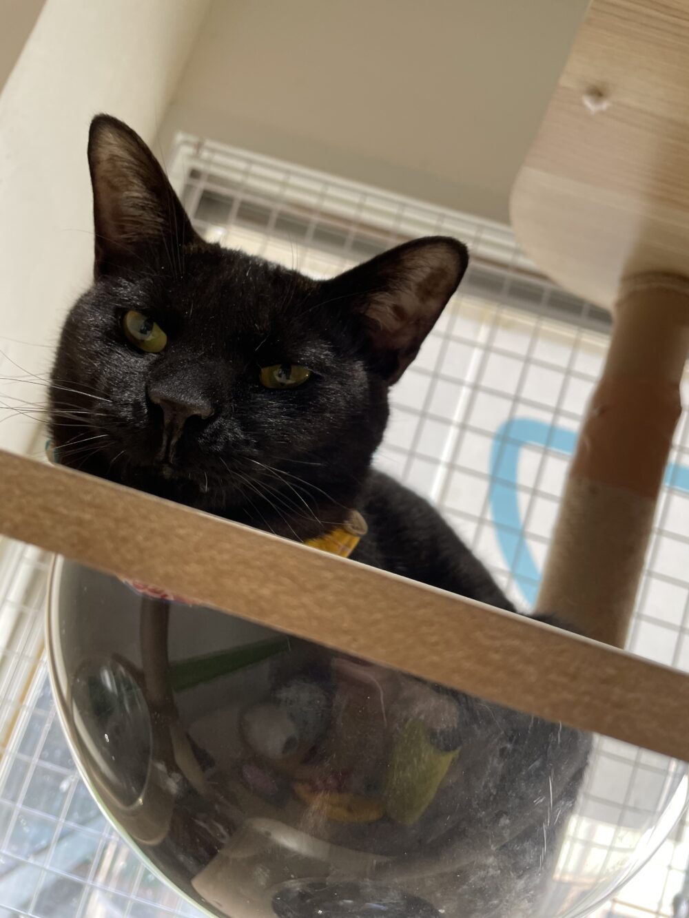 すやすや月曜日💤