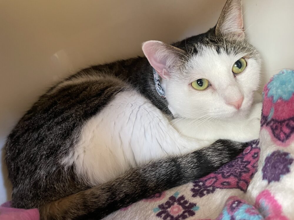 のんびり金曜日😃