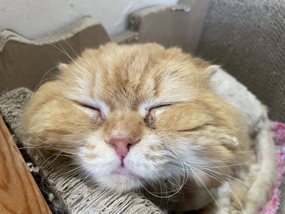 のびのび月曜日😘