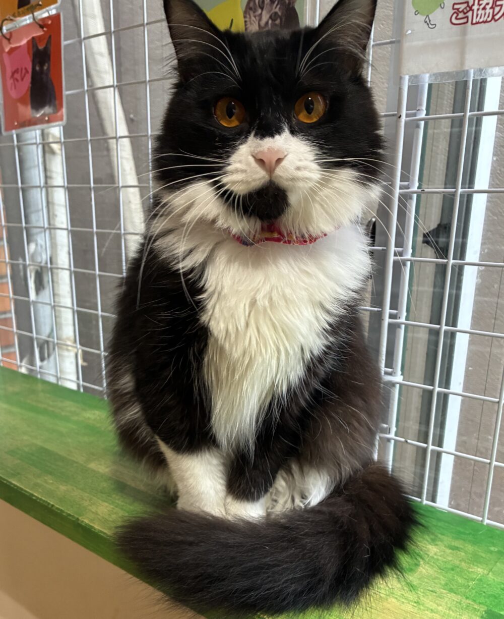 雨降り☔️土曜日　嬉しいお知らせも