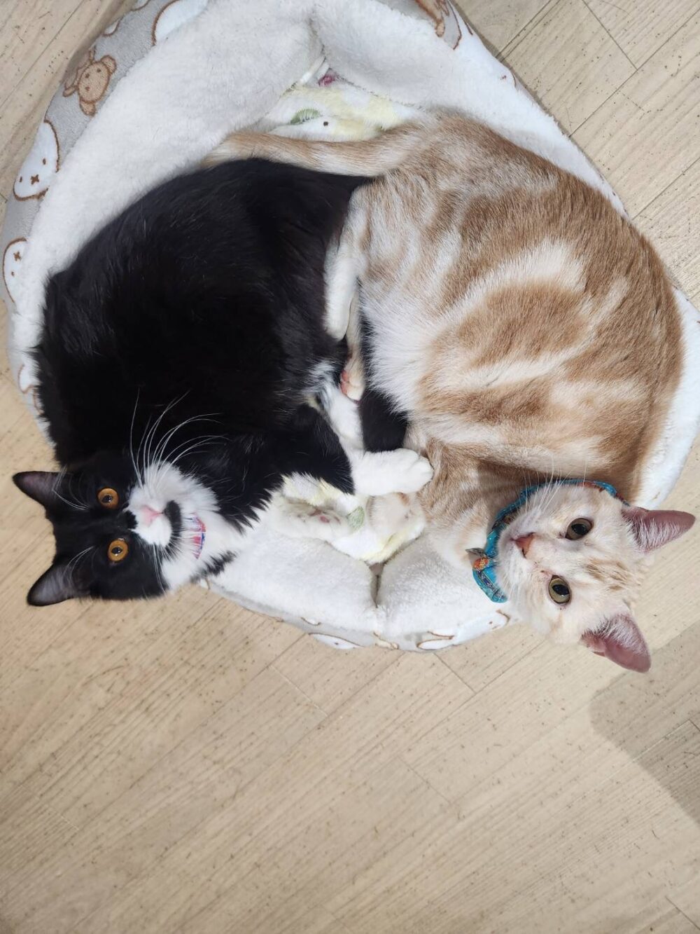 本日は定休日です☔️