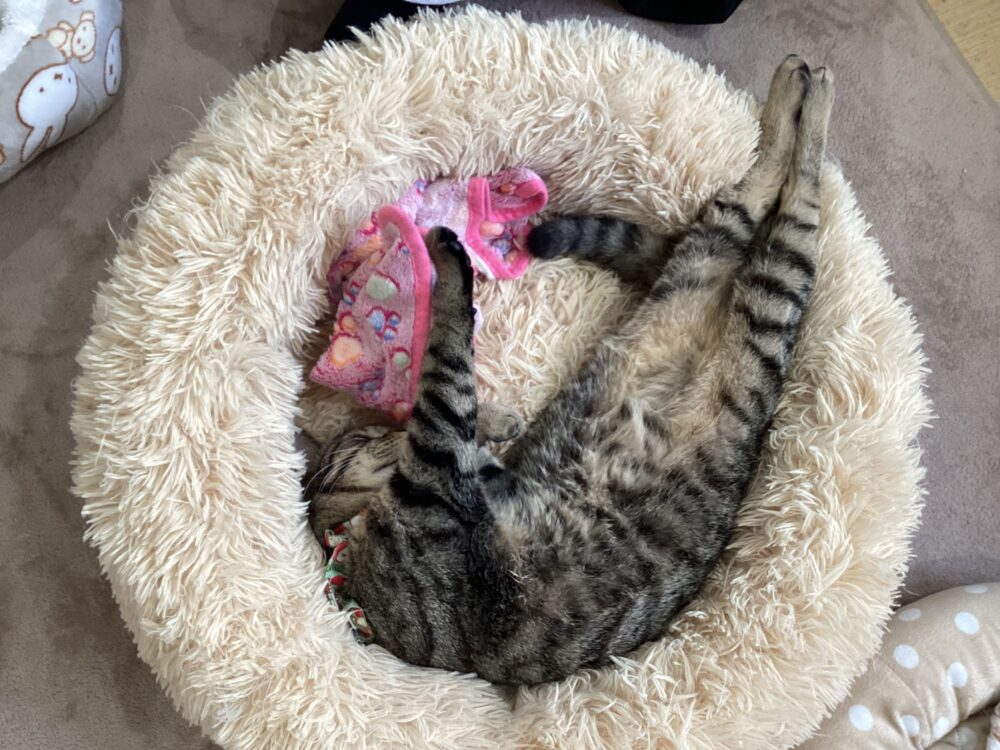 ポカポカ月曜日🤗