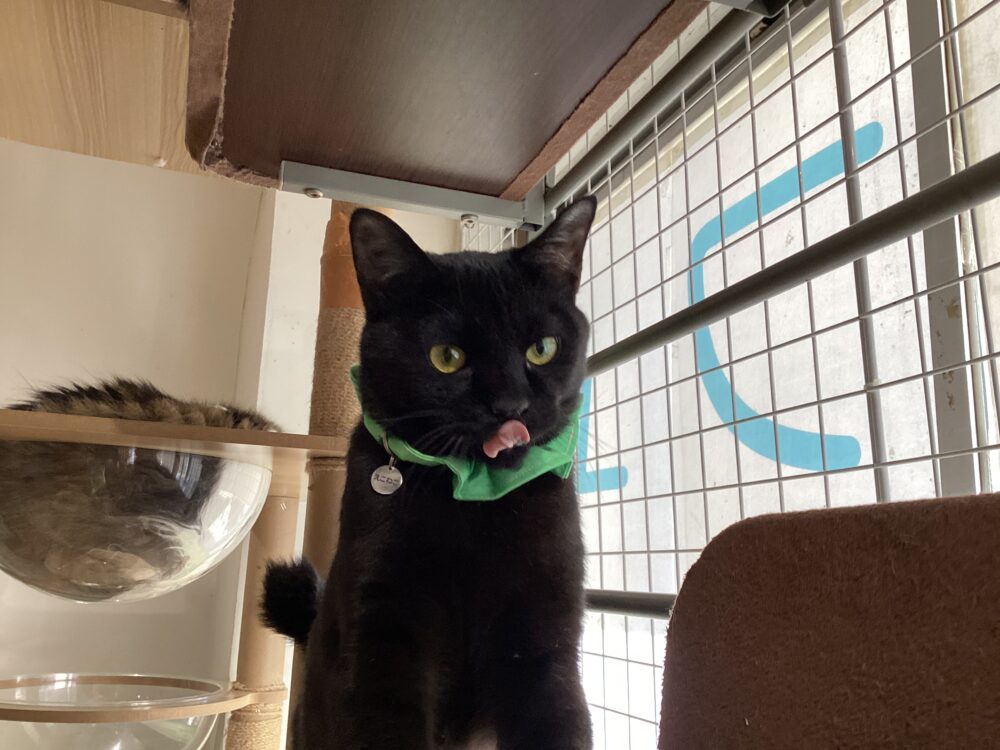 本日は定休日です☺️