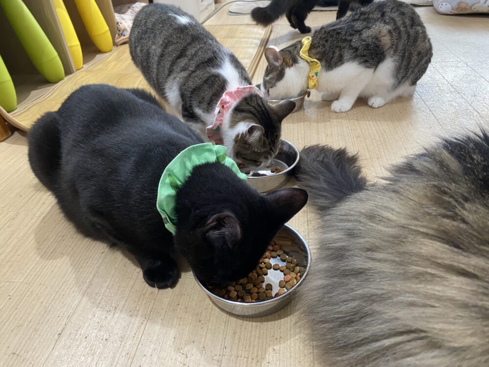 元気な💪木曜日