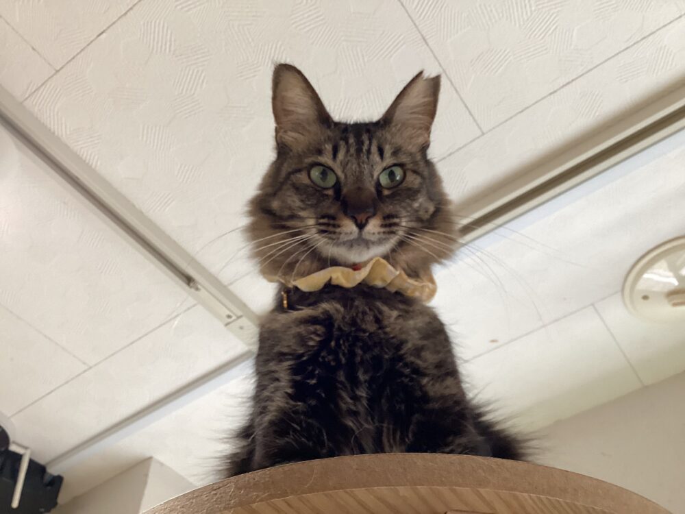 本日は定休日です☺️