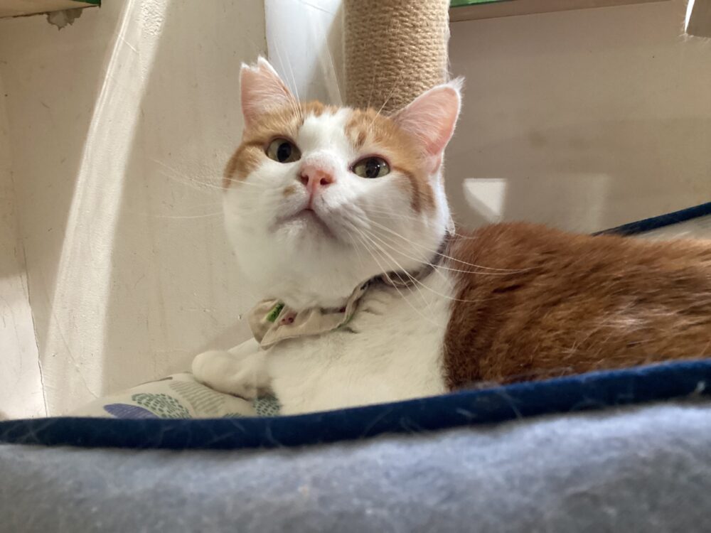 本日も定休日です☺️