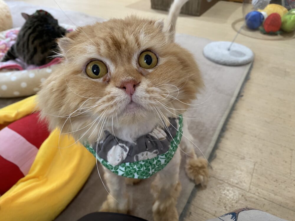 来て来て🙌火曜日