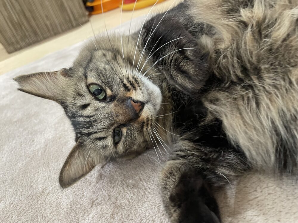 のんびり金曜日☺️嬉しいお知らせも