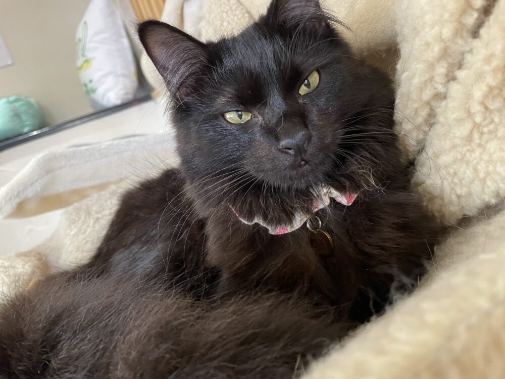 のびのび土曜日😆