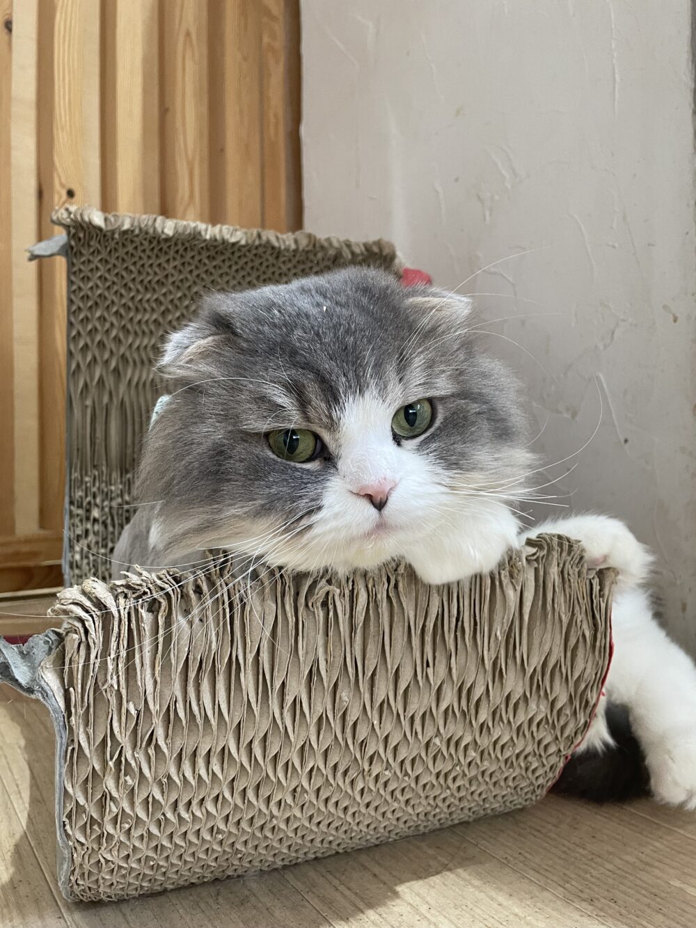 キメ顔月曜日😜