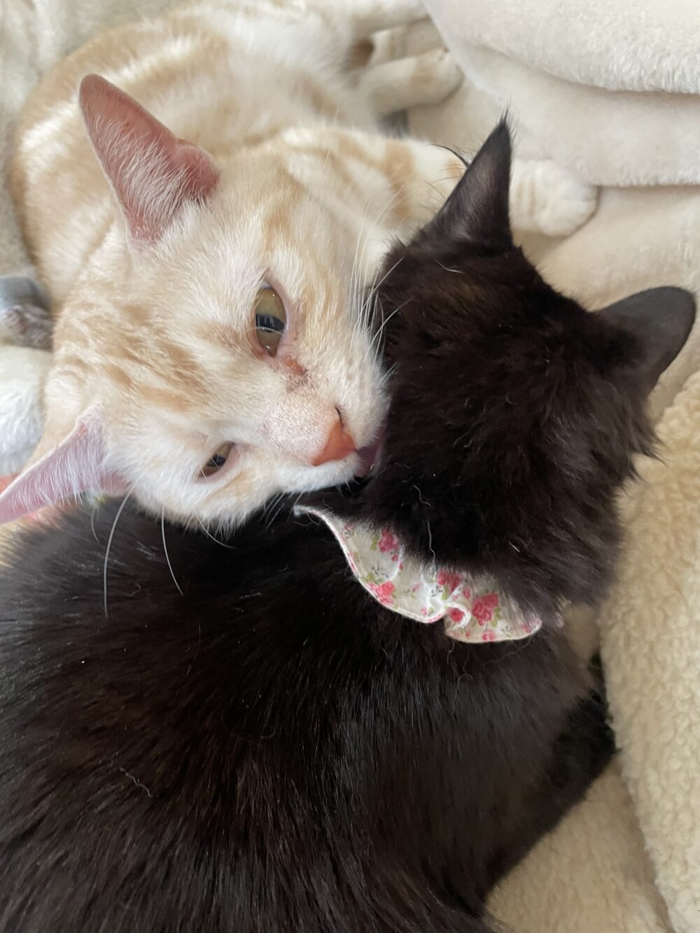 にぎやか土曜日😊