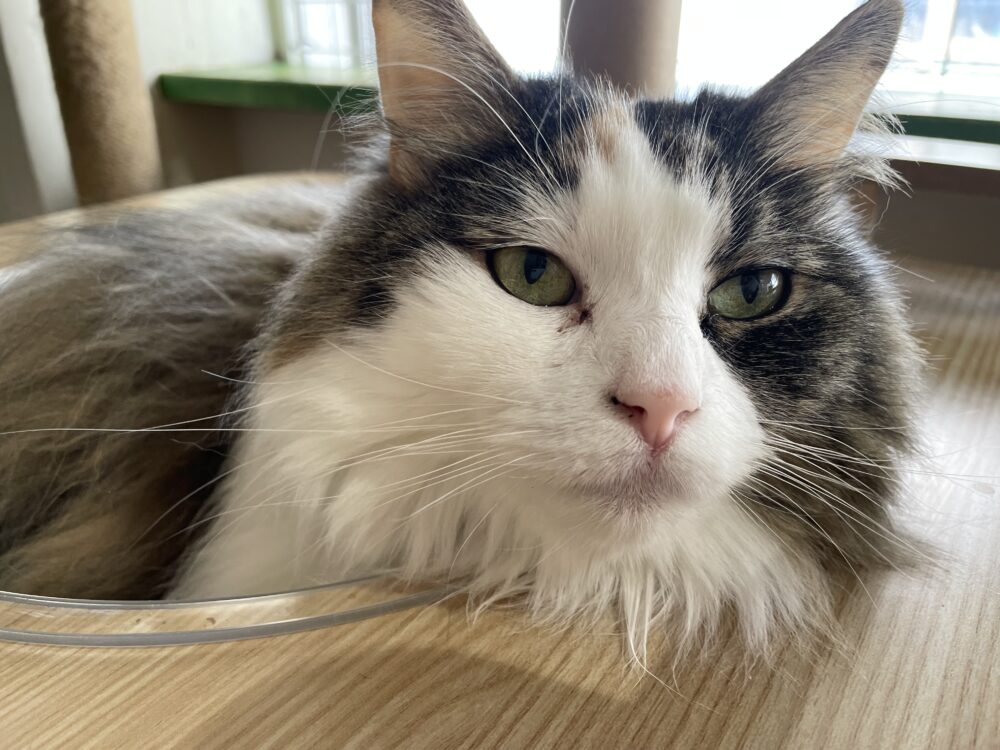 ポカポカ月曜日☀️