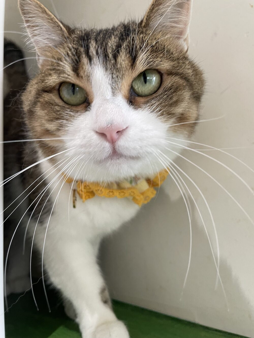 のびのび土曜日😌