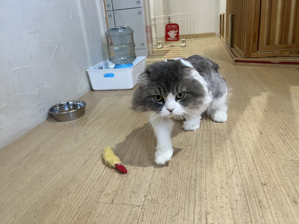 まったり♨️火曜日