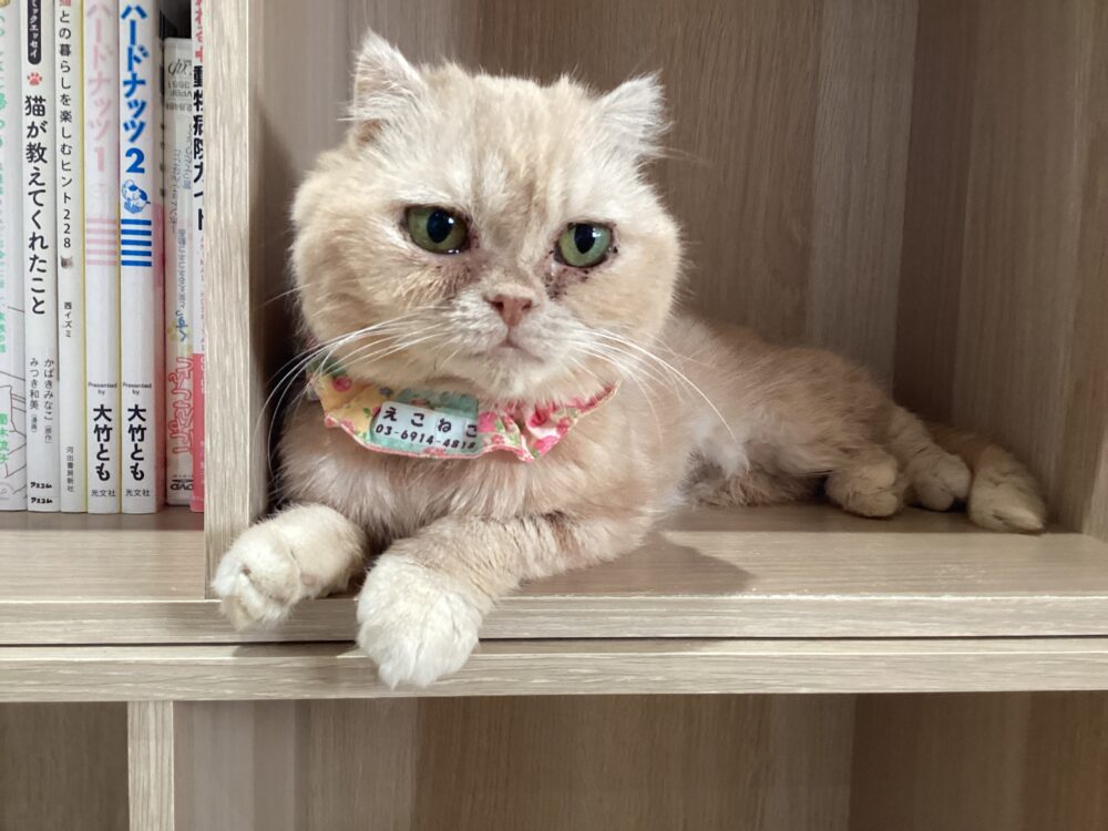 本日は定休日です☺️そして嬉しいお知らせも🤗
