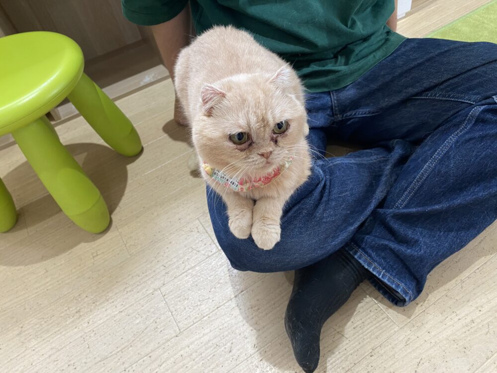 雨降る？☂️日曜日