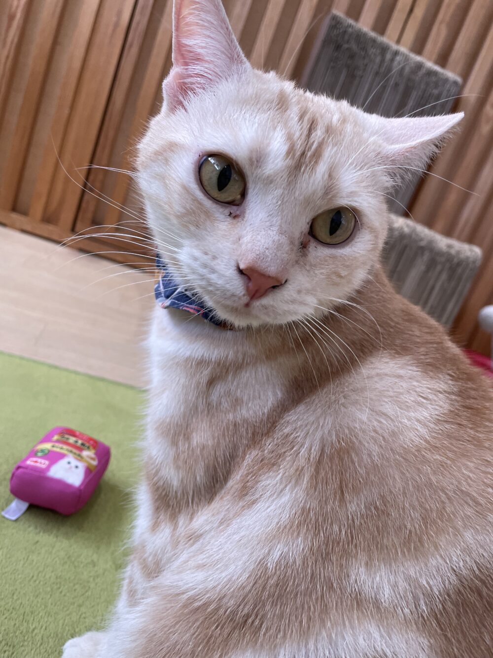 遊ぶ月曜日😃