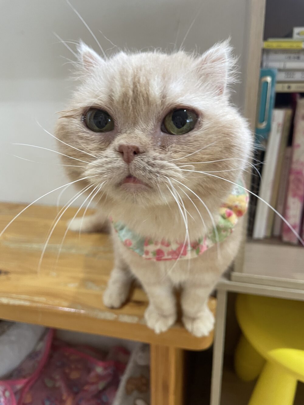 ジメジメ金曜日🥵