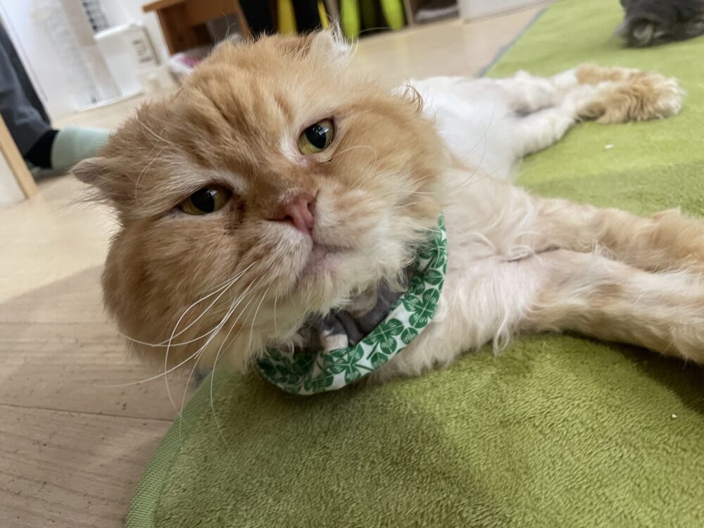 涼しい土曜日🙂嬉しいお知らせも☺️
