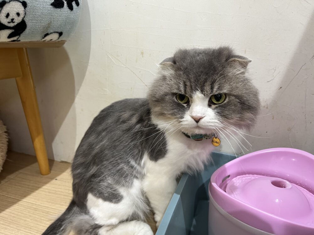 ゆったり火曜日