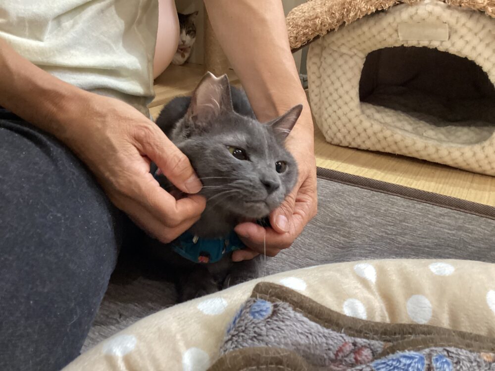 ほがらか火曜日😊