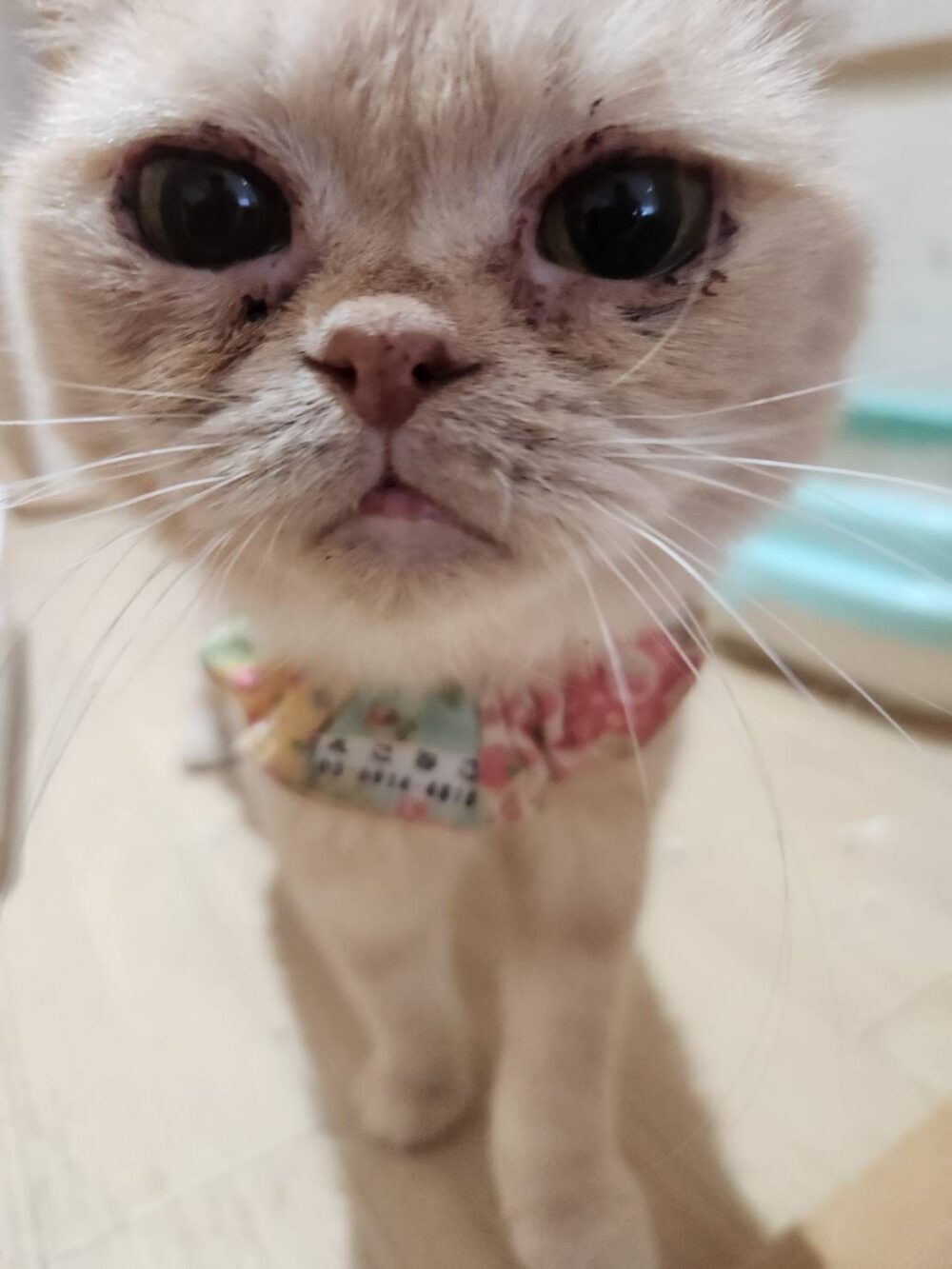 本日は定休日です🤗