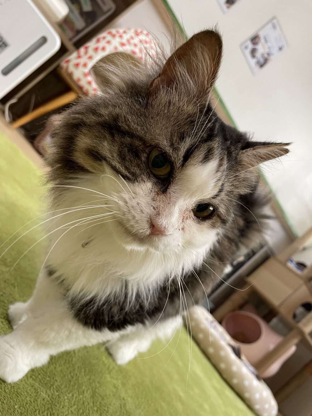 ダラダラ月曜日😪
