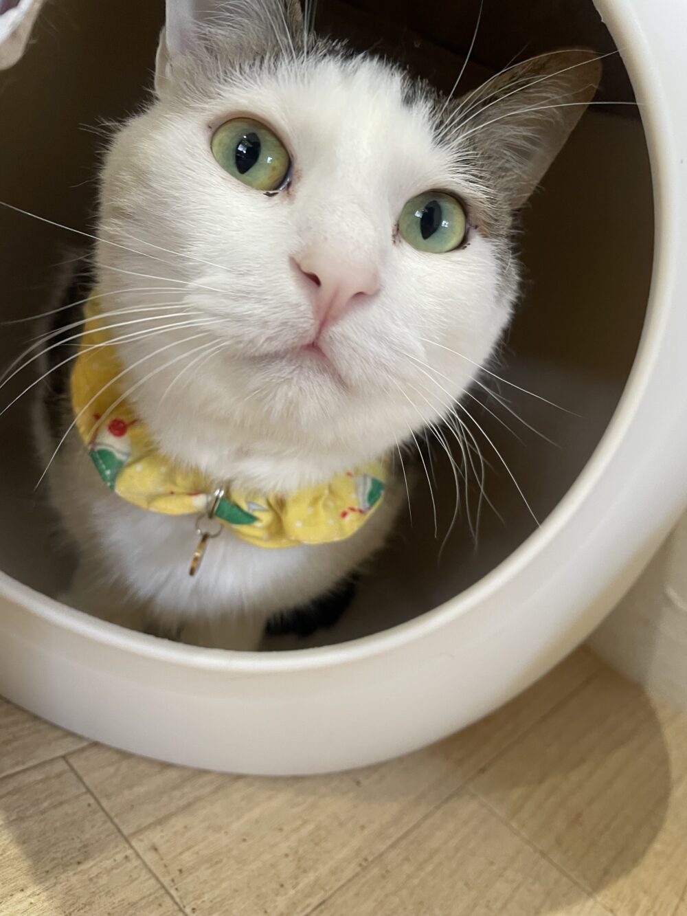 楽しい金曜日😆