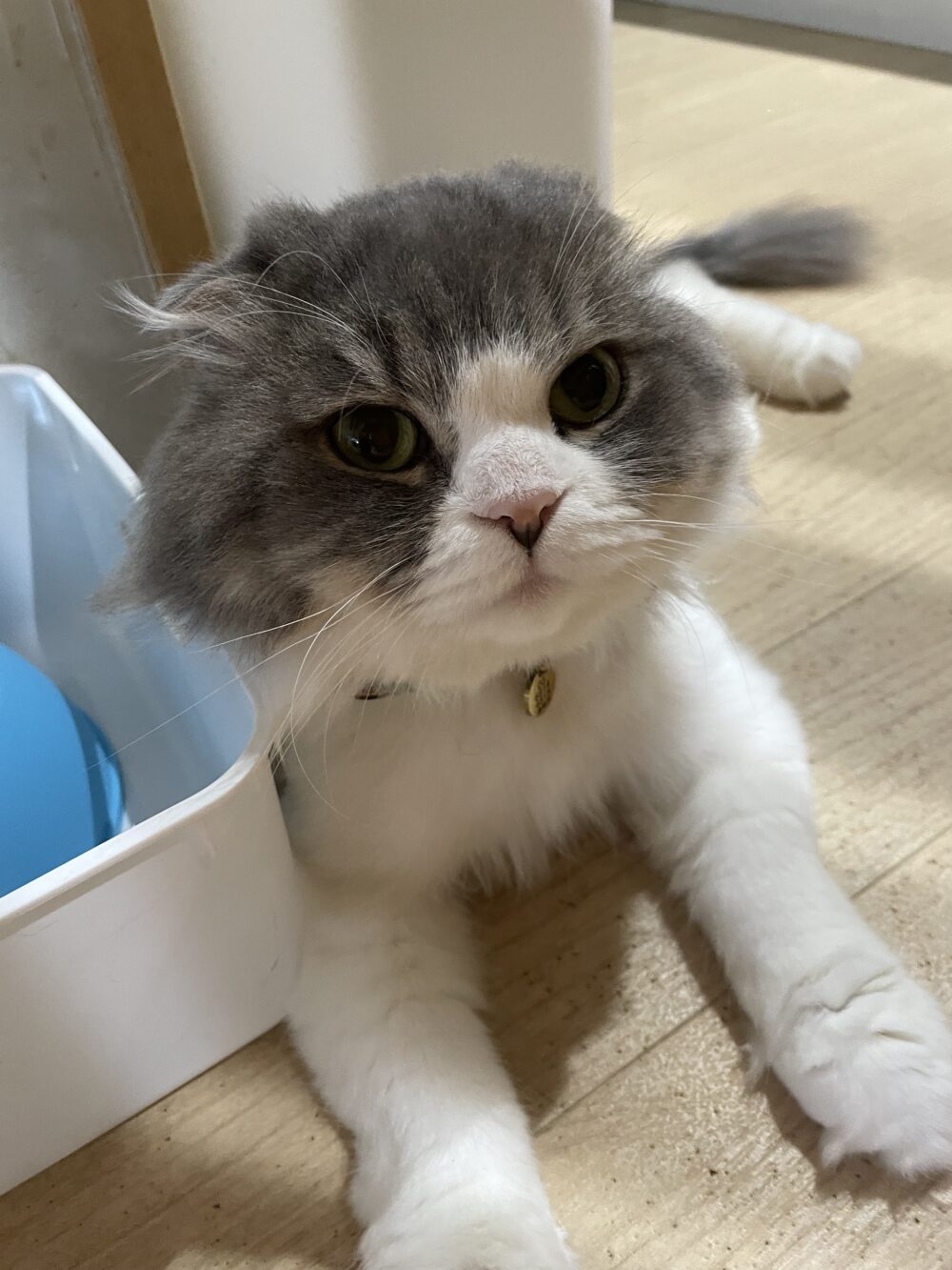 雨降り土曜日☔️