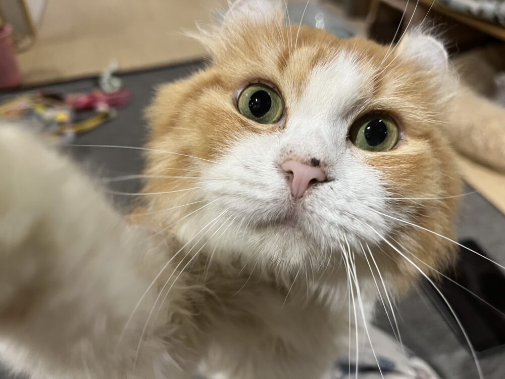 ゲリラ?☔️日曜日