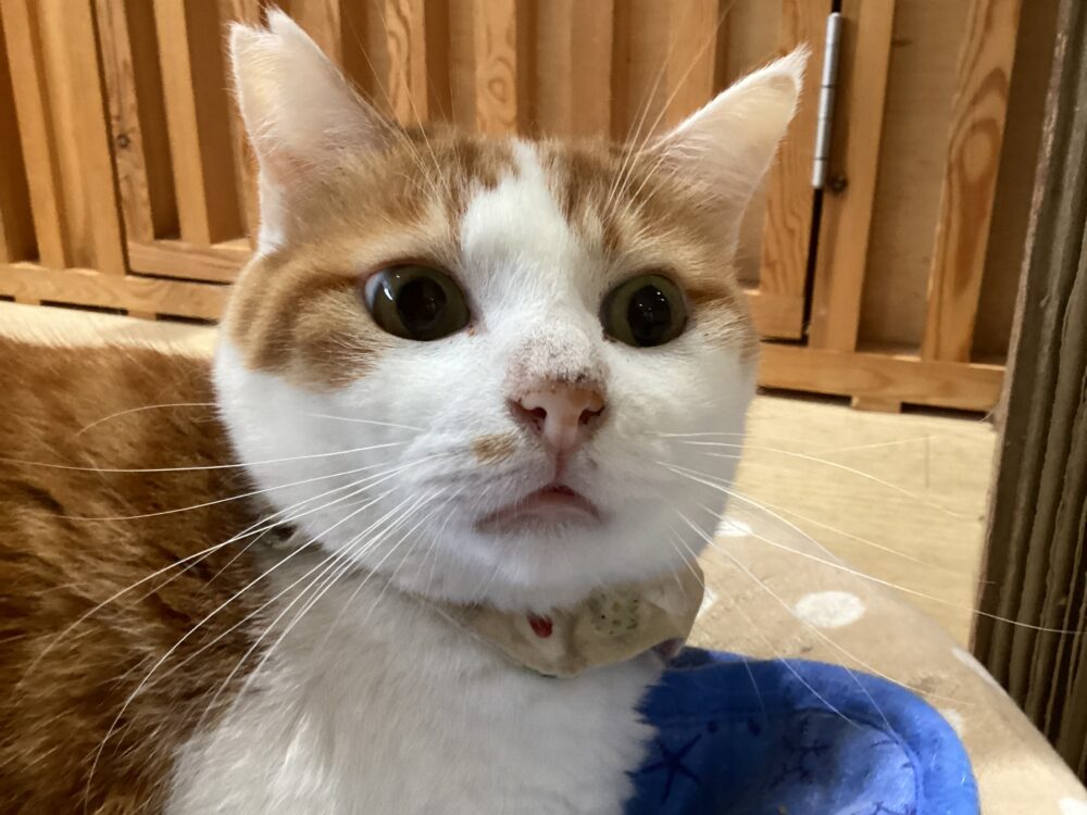 本日は定休日です🤗