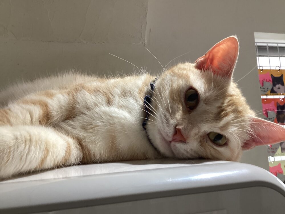 アツアツ火曜日☀️