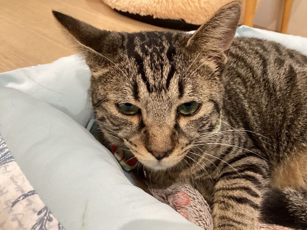 本日は定休日です🤗