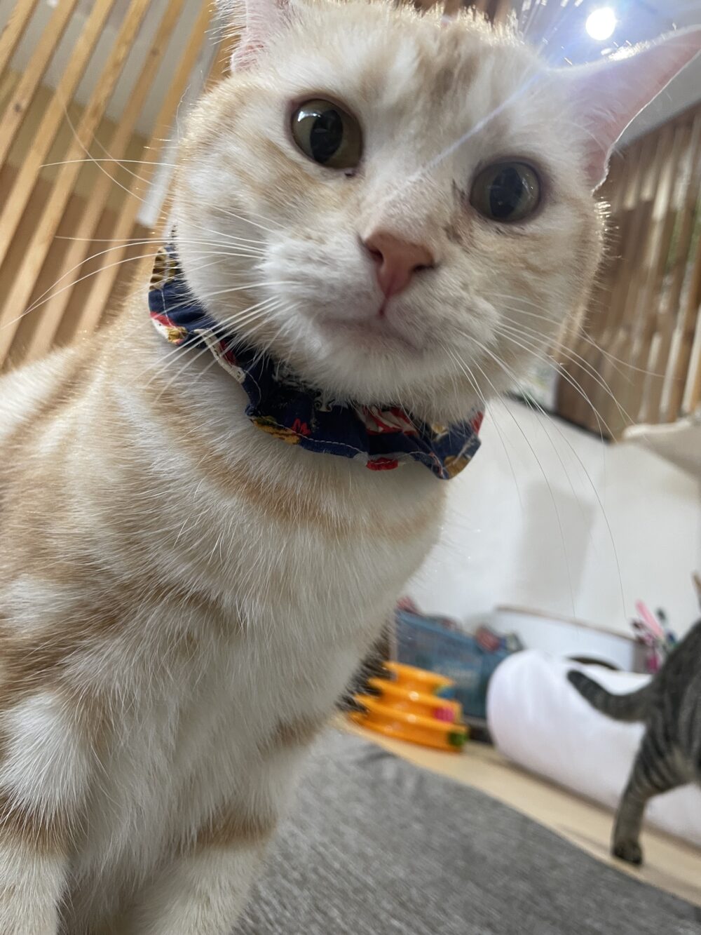 遊ぶ金曜日✨