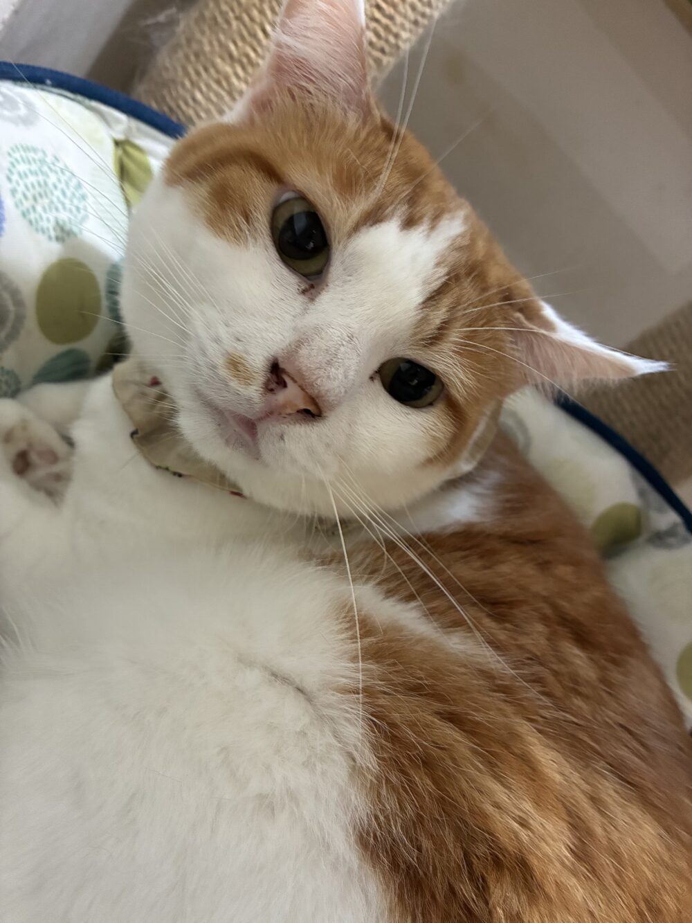 わいわい土曜日✨