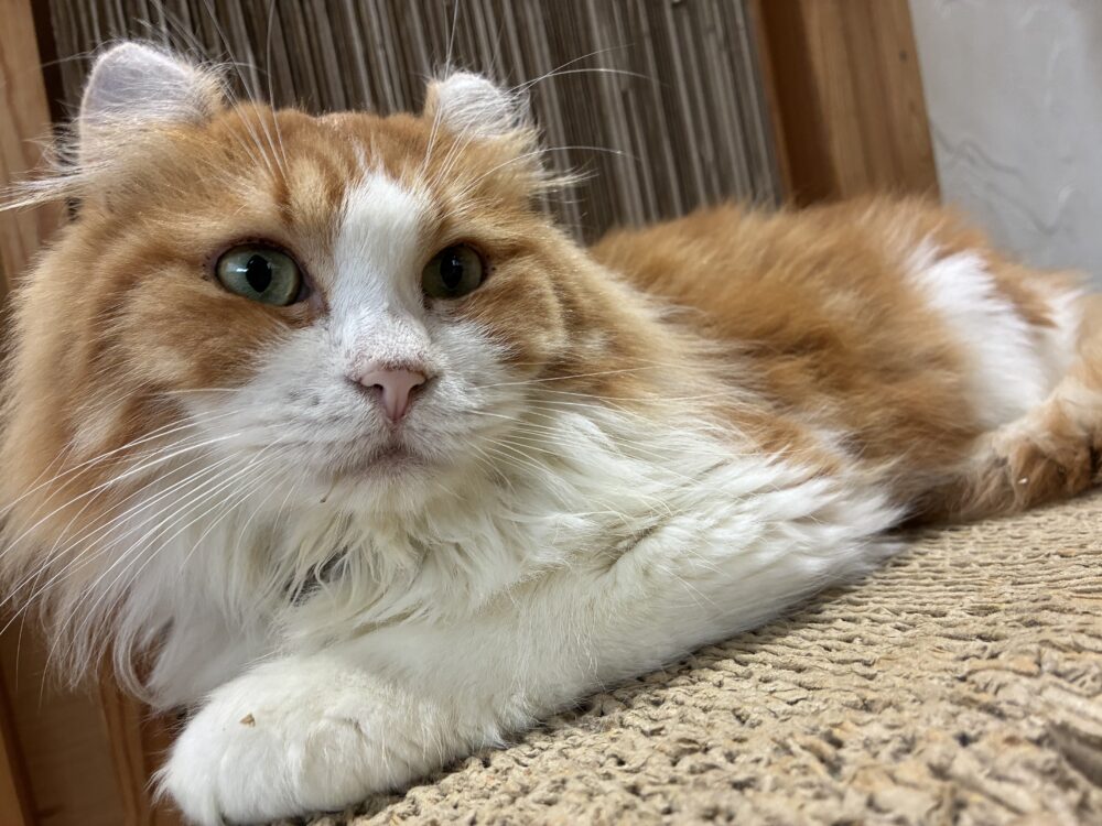 のんびり月曜日☺️
