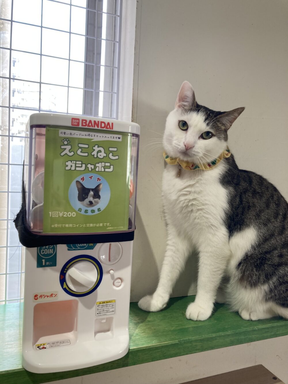 楽しい土曜日😊