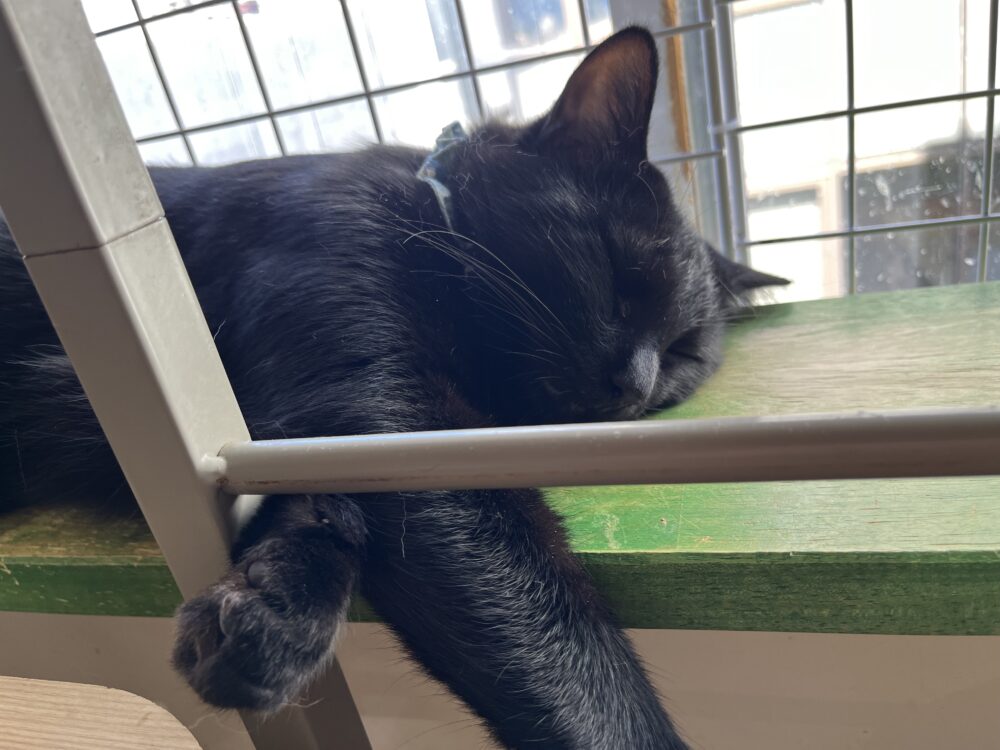 涼しい！？🌬️火曜日